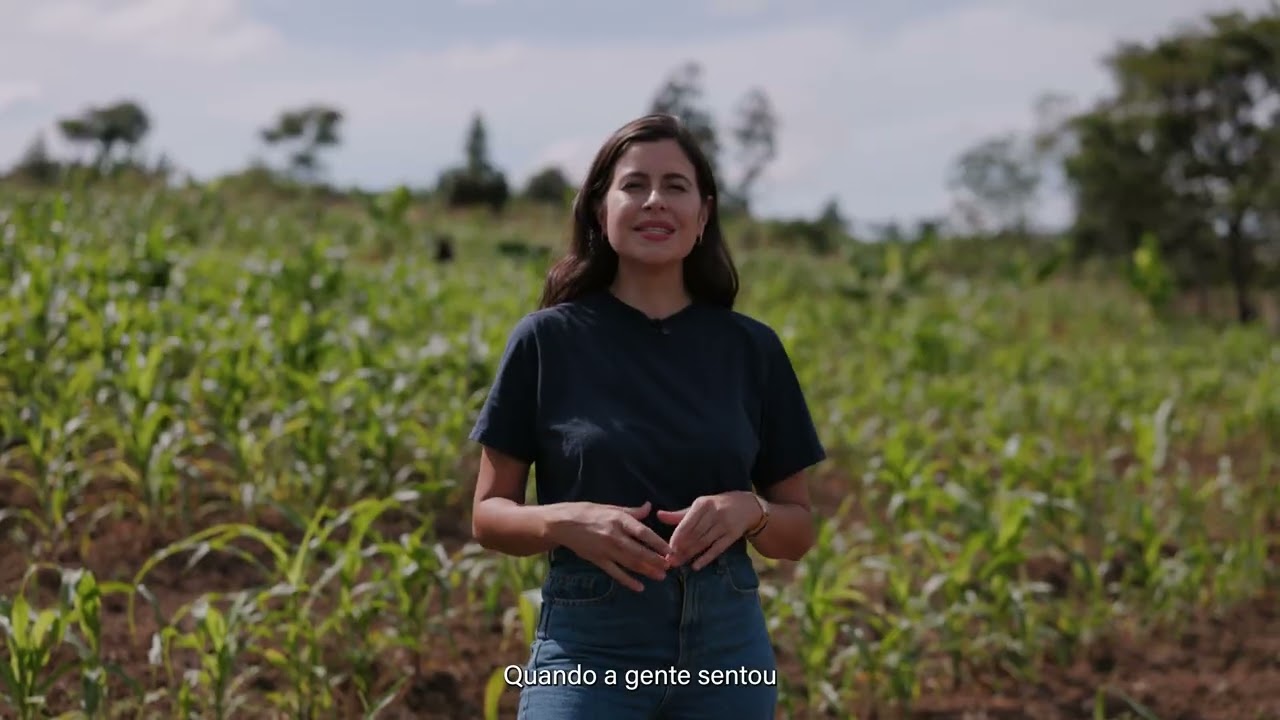 PV Brasil desenvolve piloto de transição da pecuária para produção vegetal em sistema agroflorestal