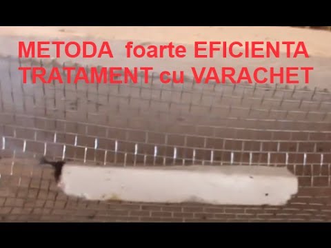 Metoda tratament cu VARACHET - Pregatire an apicol urmator - Iernatul stupilor - Apicultura