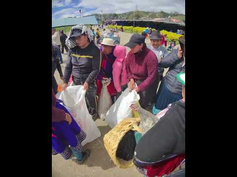 FERIA DE GANADO DOMINGO DESDE LA PROVINCIA DEL CAÑAR ECUADOR SÚPER 🏙️