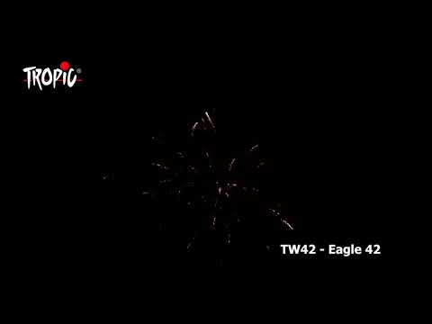 TW42 - Eagle42