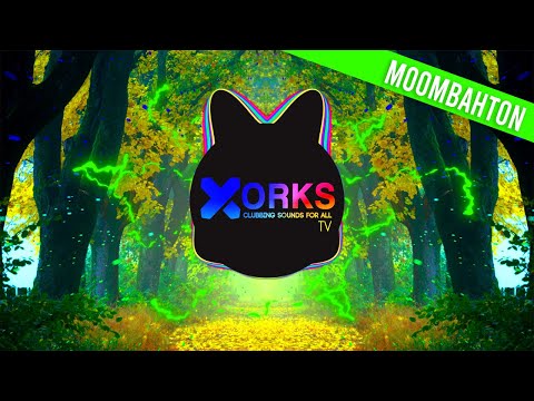 Fasta & Noiz Ft. Nitai Charan - Curry Up !