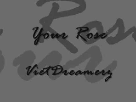 VietDreamerz - Your Rose