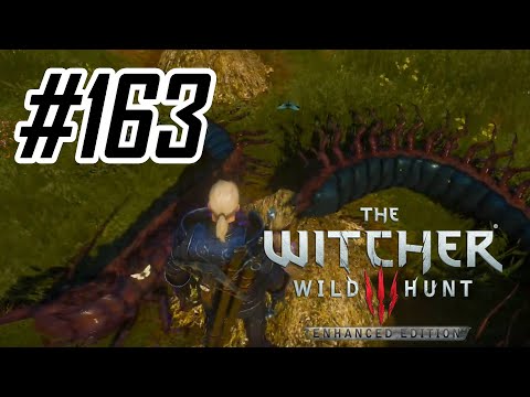 #163 W3EE Playthrough: The Duties of a Witcher (Act XL)