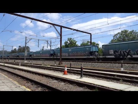 Triple 81's with a Pacific National canola train - 9/2/16