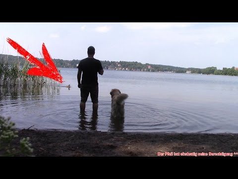 mit dem Hund am See ^^ - Vlog Total #91