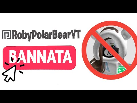 SONO STATA BANNATA DA ROBLOX!