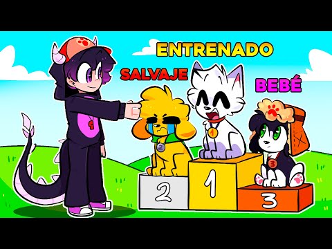 FranciscoGames -  THE PET COMPETITION in MINECRAFT!  🐶😱 MINECRAFT ROLEPLAY ALEXY