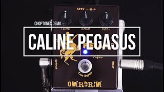 Video thumbnail for Caline Pedals | CP-43 Pegasus | Playthrough (Klon Centaur) by ChoptonesOfficial