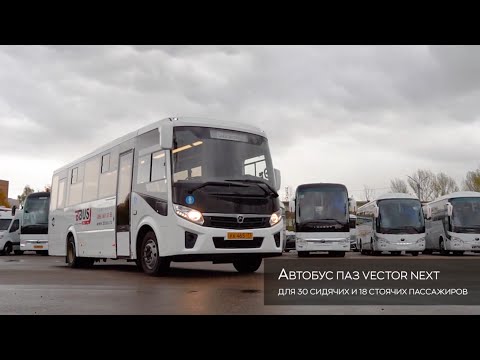 Подробный обзор автобуса: ПАЗ Vector NEXT для 30/48 пассажиров. Автопарк БизнесБас