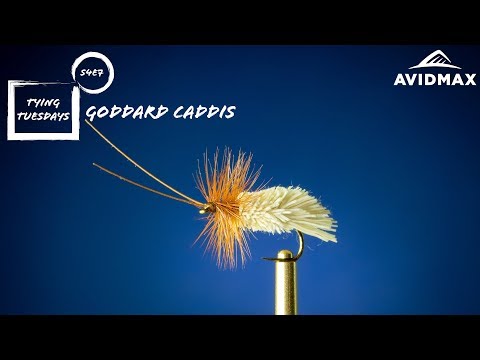 How to tie the Goddard Caddis | AvidMax Fly Tying Tuesday Tutorials