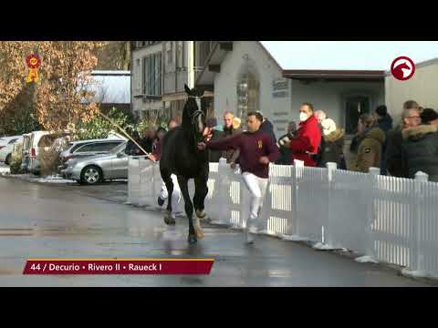 KN 44 von Decurio / Rivero II