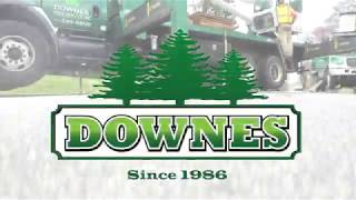Downes Tree Service Residential Tree Job