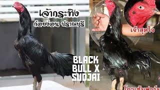 Download lagu Sudjai X BlackBull line khoy terbaik dari Rizaldi anak Medan mp3