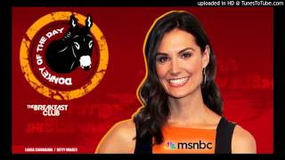 Donkey of the day - MSNBC Krystal Ball - At The Breakfast Club Power 105.1