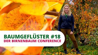 Baumgeflüster #18 | Der Birnenbaum Conference