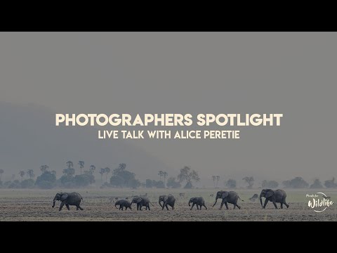 Photographers Spotlight: Live talk with Alice Péretié