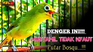 Download lagu CIAK CIAK JOSS KECIAL KUNING AMPUH||PANCINGAN KECIAL MALAS BUNYI|| mp3 Download lagu CIAK CIAK JOSS KECIAL KUNING AMPUH||PANCINGAN KECIAL MALAS BUNYI|| mp3