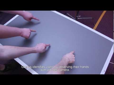 Carpus: A Non-Intrusive User Identification Technique for Interactive Surfaces