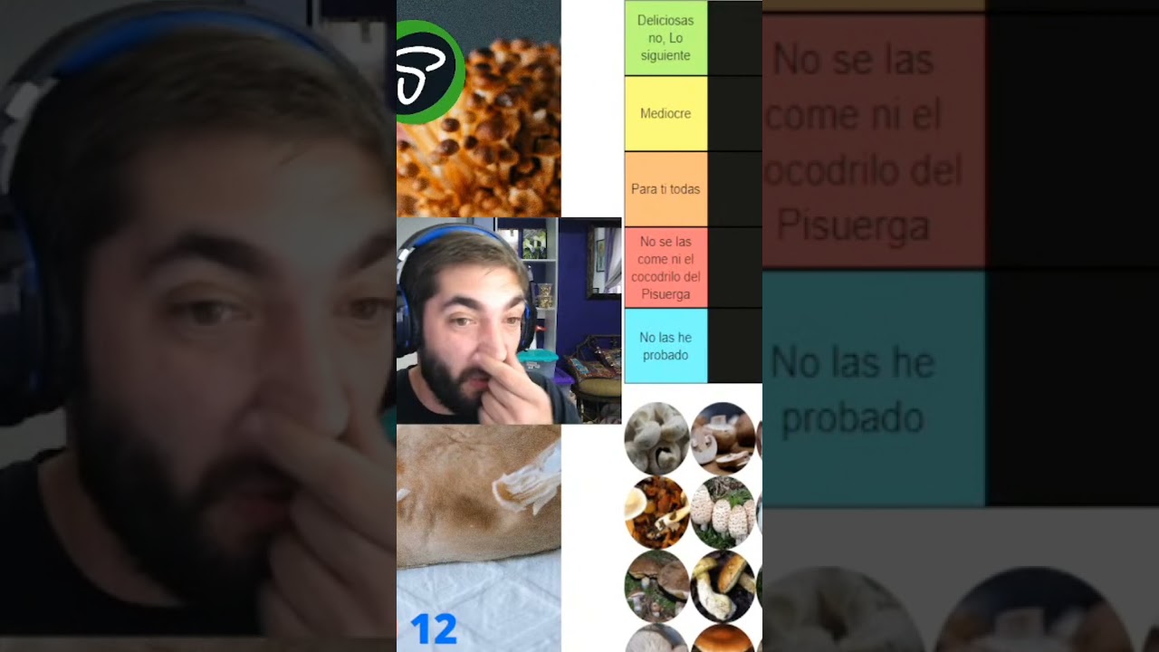 Tier list de hongos comestibles