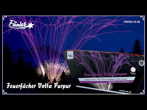 "Feuerfächer Volta Purpur" - Singlerow Corolla stars and purple moving stars [Batch 2023]