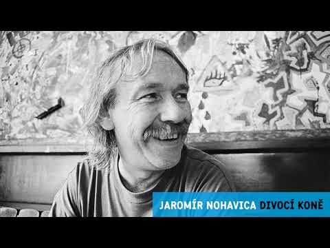 Jaromír Nohavica - Divocí koně (Oficiální Audio)