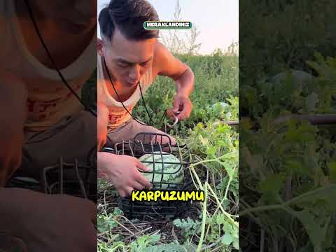 Karpuzu Kafese Kilitledim..❗️😂