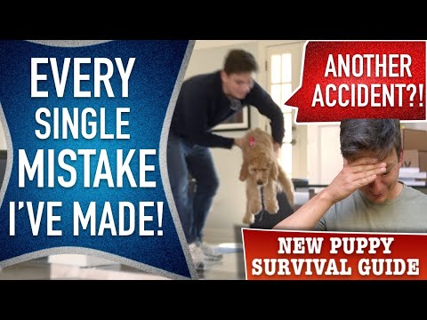 How I’m Potty Training This Puppy, Mistakes Included. (EP: 14)