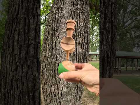 💥 #kendama (@alexmitchell)