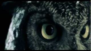 Angels And Airwaves - Behold A Pale Horse [Legendado]