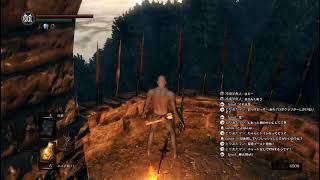 【DARKSOULS REMASTERD#29】ガーゴイルがいるエリアの門から先を攻略する( 防具無し縛り)