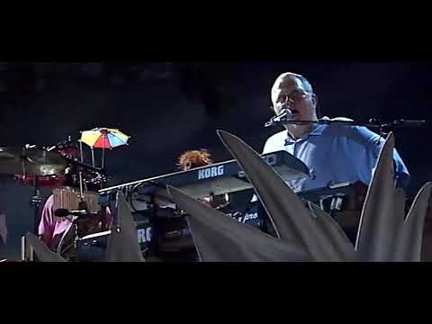 Blue Guitar - Jimmy Buffett