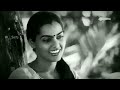 Silk Smitha Fan
