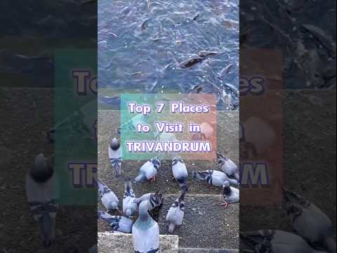 Top 7 Places to Visit in Thiruvananthapuram #placestovisit #keralatourism #trivandrum #touristplace