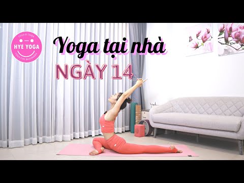 Yoga Tại Nhà | Ngày 14 | Hye Yoga