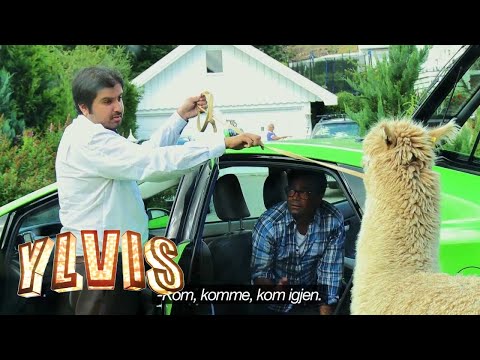 I kveld med Ylvis - David tar Åke med på taxitur