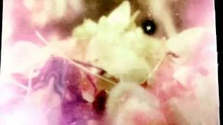 Day Wave - Total Zombie (2016) (Audio)