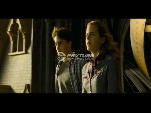 Harry and Hermione discuss Ron at Astronomy Tower - HBP deleted scene