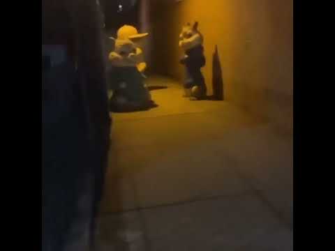 alvin y las ardillas?