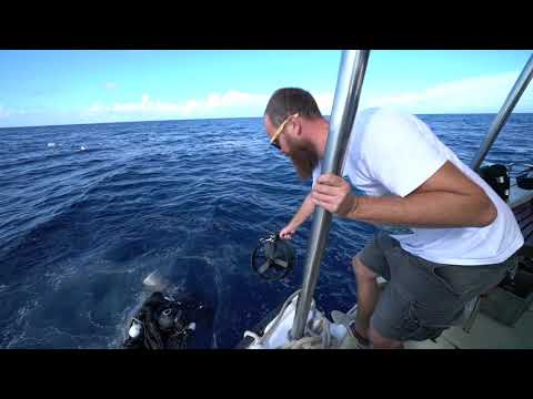 Expedition lissa ( Diving on Palestro & Radetski wreck)