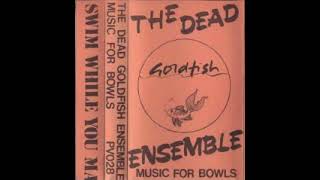 The Dead Goldfish Ensemble - Music for Bowls (full album) (minimalism/electronic/lo-fi)