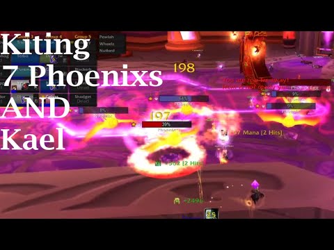 Kiting 7 Phoenixes AND Kael Prot Paladin POV - TBC Classic