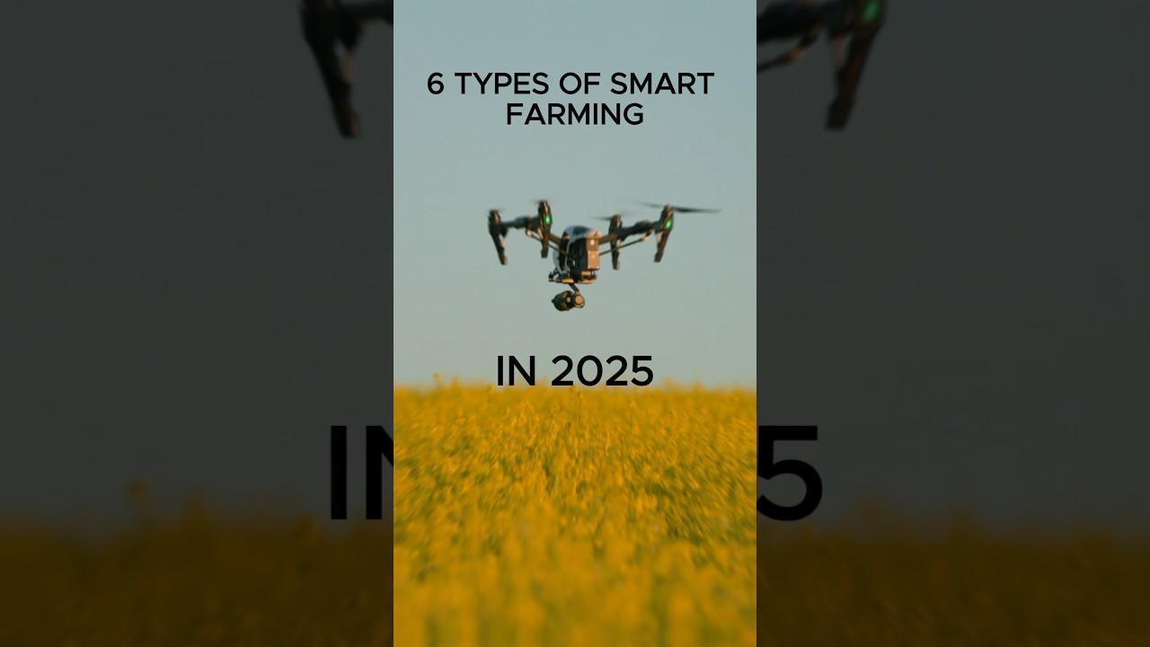 6 Smart Farming Innovations Every Modern Farmer Should Know 🌱🚜