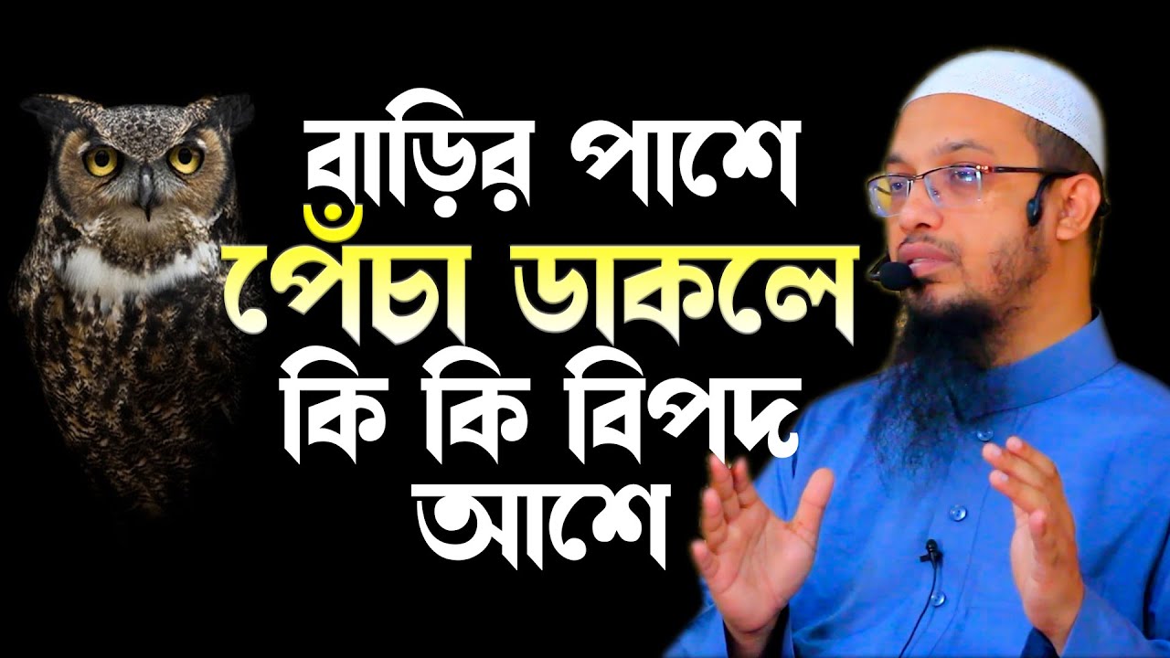 রাতে বাড়ির পাশে পেঁচা ডাকলে কি কি বিপদ আশে, শায়খ আহমাদুল্লাহ নতুন ওয়াজ , Shaykh Ahmadullah New Waz