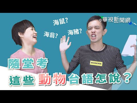 【台語珍輪轉】隨堂考！ 這些動物台語怎說？