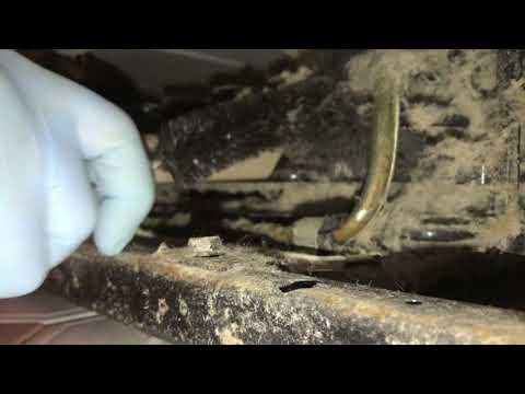 Whirlpool Refrigerator Maintenance Austin TX, Condenser Coil Cleaning. AC Repair Center