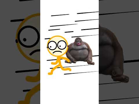 Homem macaco correndo atrás de mim #meme