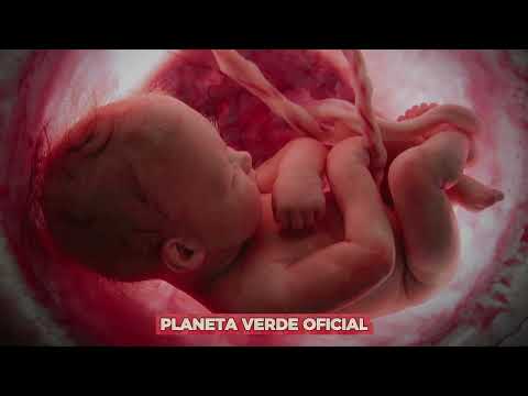 12 HORAS SOM DO ÚTERO INFALÍVEL BEBÊ  ACALMA E DORME NA HORA