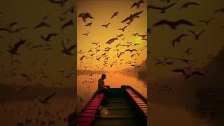 Download lagu Hawao me lipta hua main whatsapp status | WhatsApp Status mp3