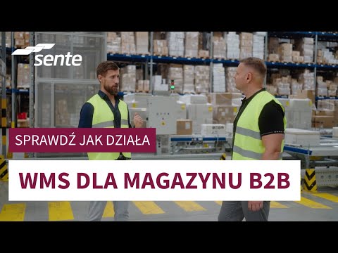 Optymalizacja magazynu B2B – zarządzanie magazynem z Teneum WMS | Rozwiązania magazynowe B2B