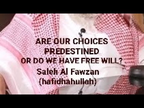 Are our choices predestined or do we have free will-Shaykh Saleh Al Fawzan (hafidhahullah)